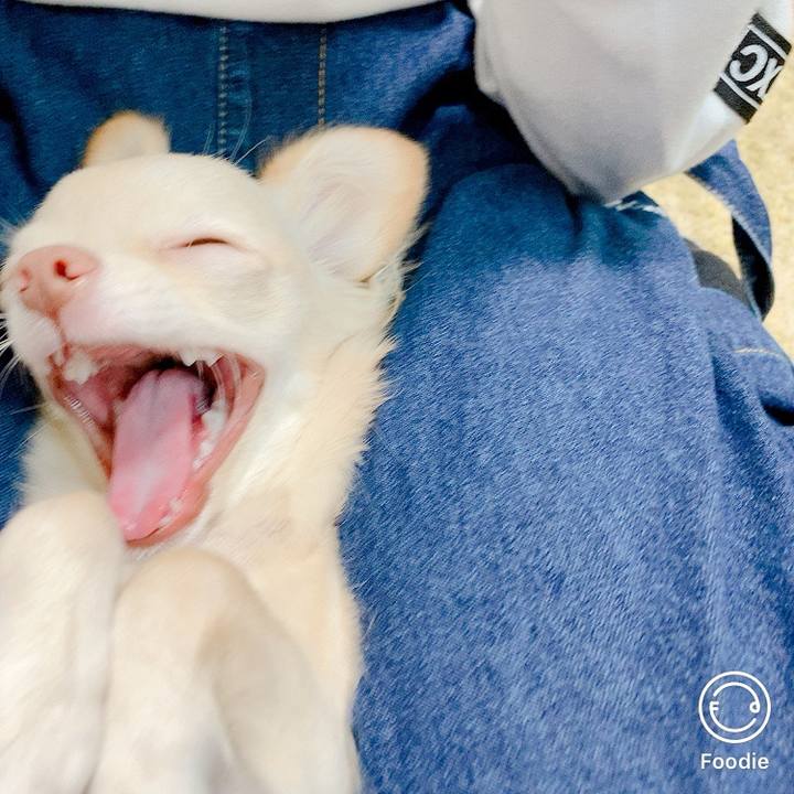 0cc68446 e498 44d2 afc8 7a50bc64124a 1601172931758