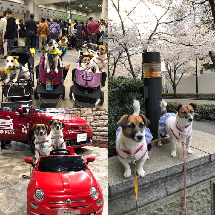 0cc6b675 15e0 4cba 9805 7148512f5699 1554037325835