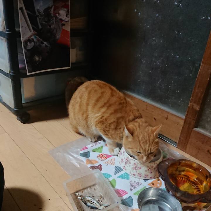 0cc6c05b 6f26 401a 93dc 3b3b7ad581dc 1605556158908