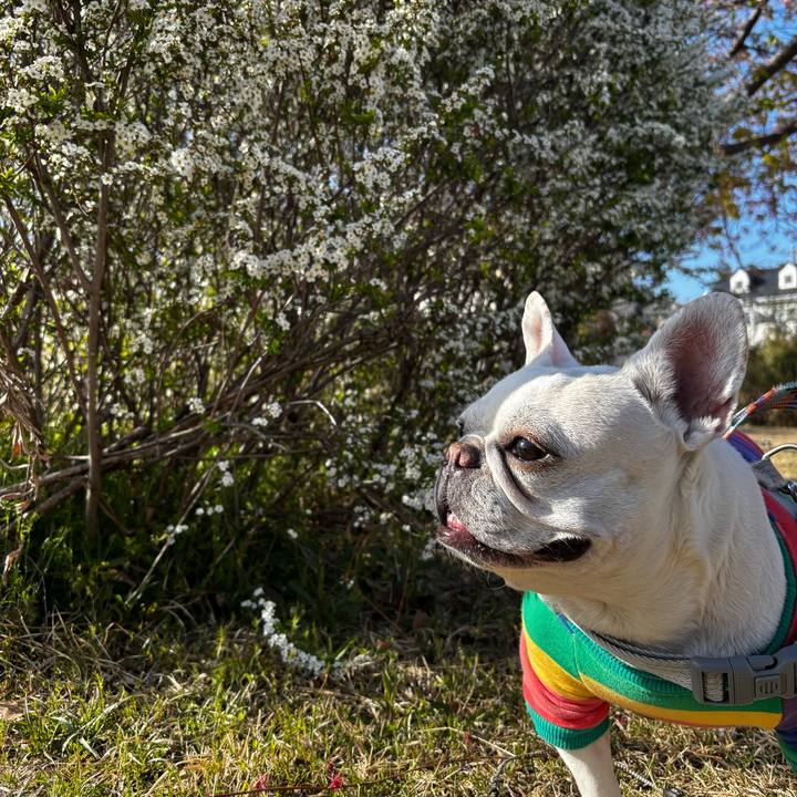 0cc6c239 605f 415e 9cd1 5cb128b988d9 1773530339838