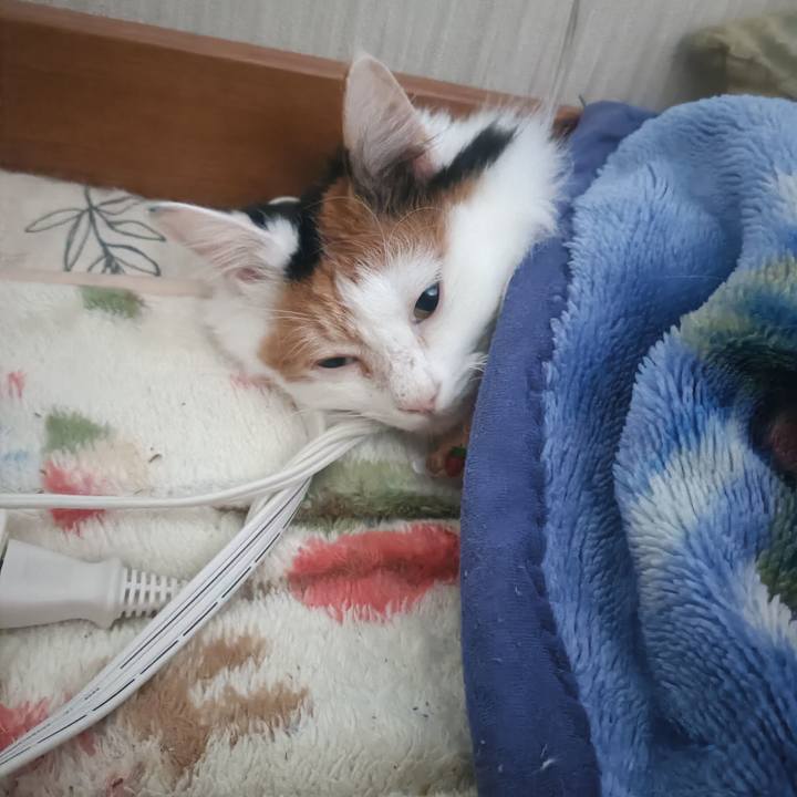 0cc6df27 c610 429c bb1b c65423750848 1774231874662