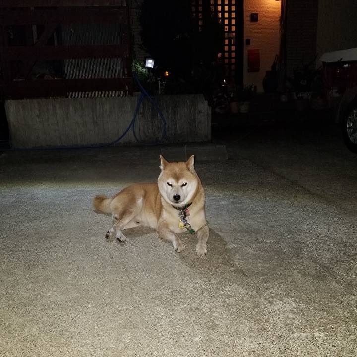 0cc70753 149a 440a ba9e 724c70eabd79 1599476422238