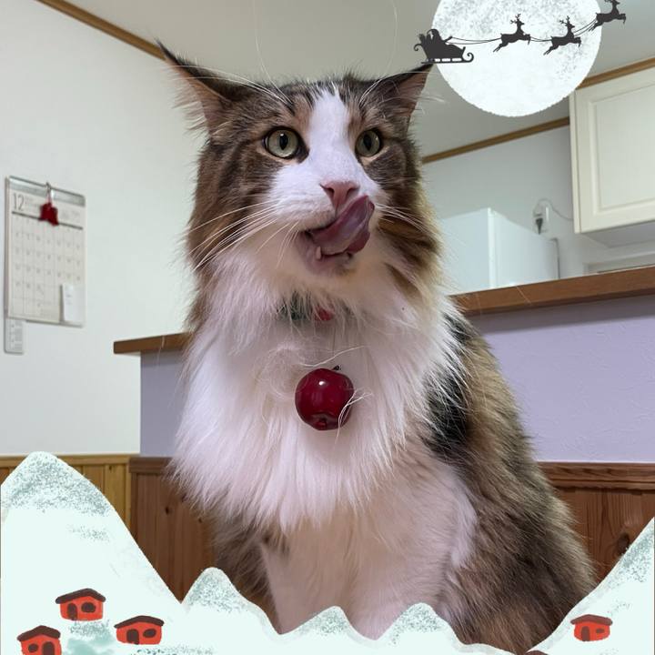 0cc71cde 9d06 49f1 8b4a 7e0cc3a1a309 1734983586261