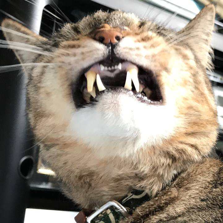 0cc71ff7 c956 4a14 8a32 1e1c9935cc02 1563111265889