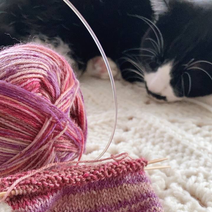 0cc72476 8de8 4915 95ec a00d4a04b50e 1736483382277