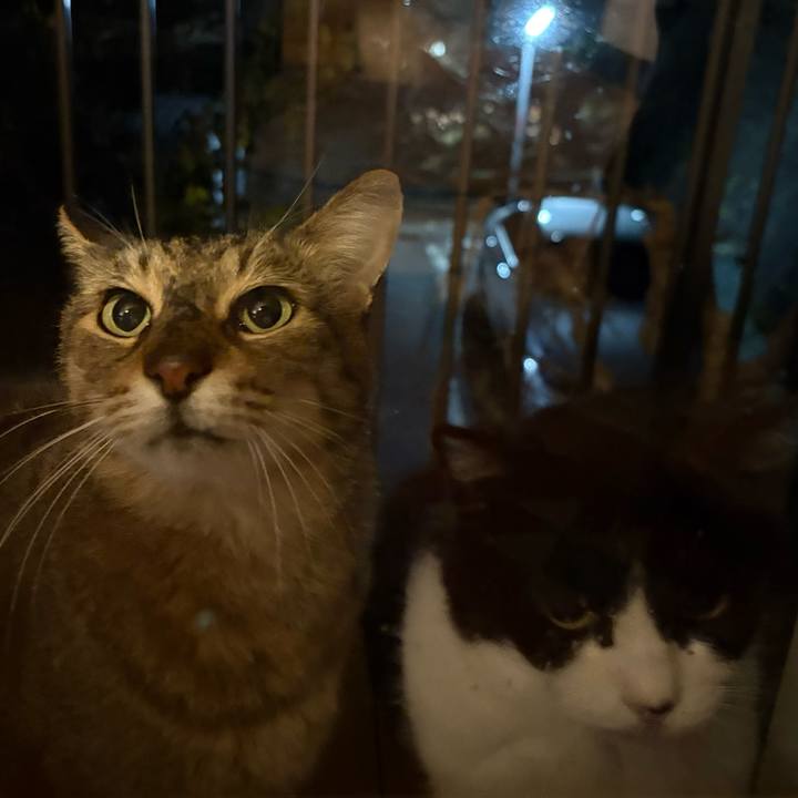 0cc72b7e 2c87 4845 9d2a fd37bfa029f7 1764413960600