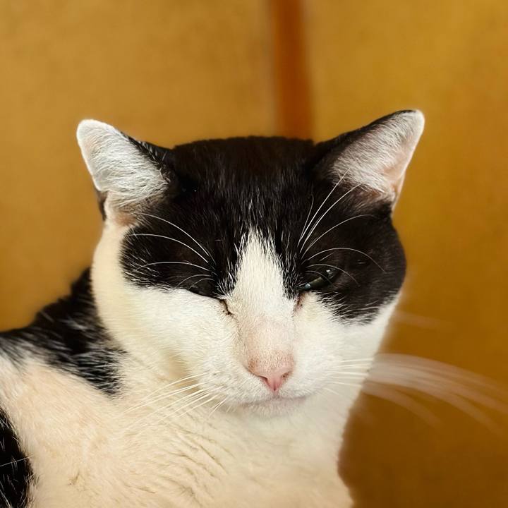 0cc72e6b 1d10 4007 ad72 0efc58afeb67 1701133878100