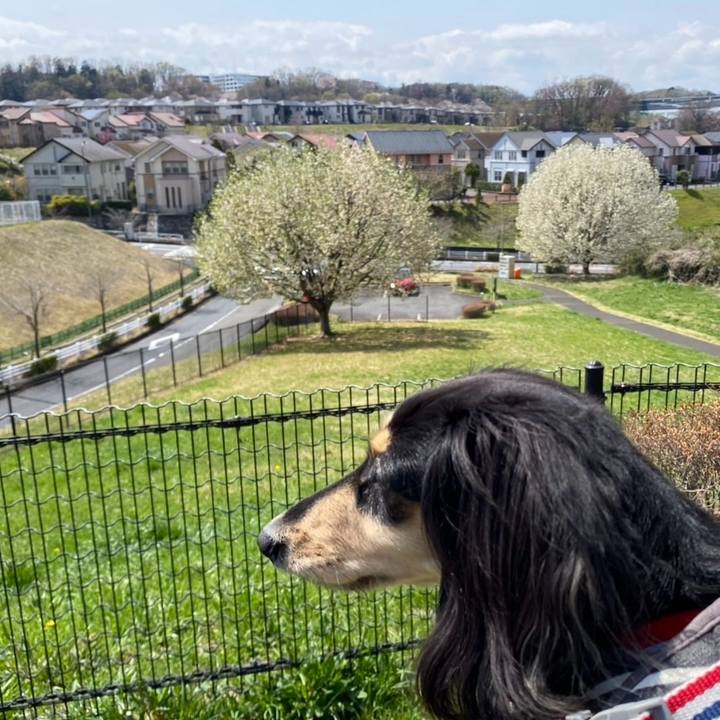 0cc781e8 713e 476f 9d2a f7f4fed439a2 1743380553603