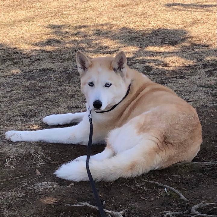 0cc78b74 1538 45c2 ab46 e809d7de9fb1 1743579074621