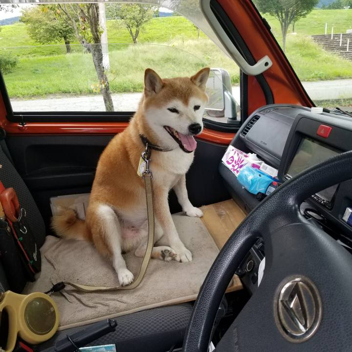 0cc7b20a 0417 43e6 9af7 9dbb659abdb7 1662091368204