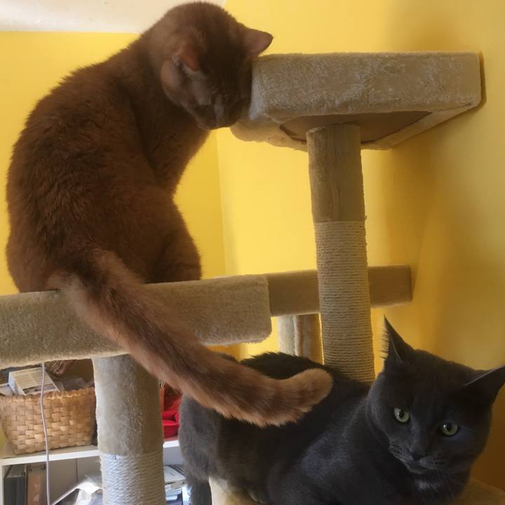 0cc82aa7 054b 46dc be8a c1767e1aac5d 1633046503052