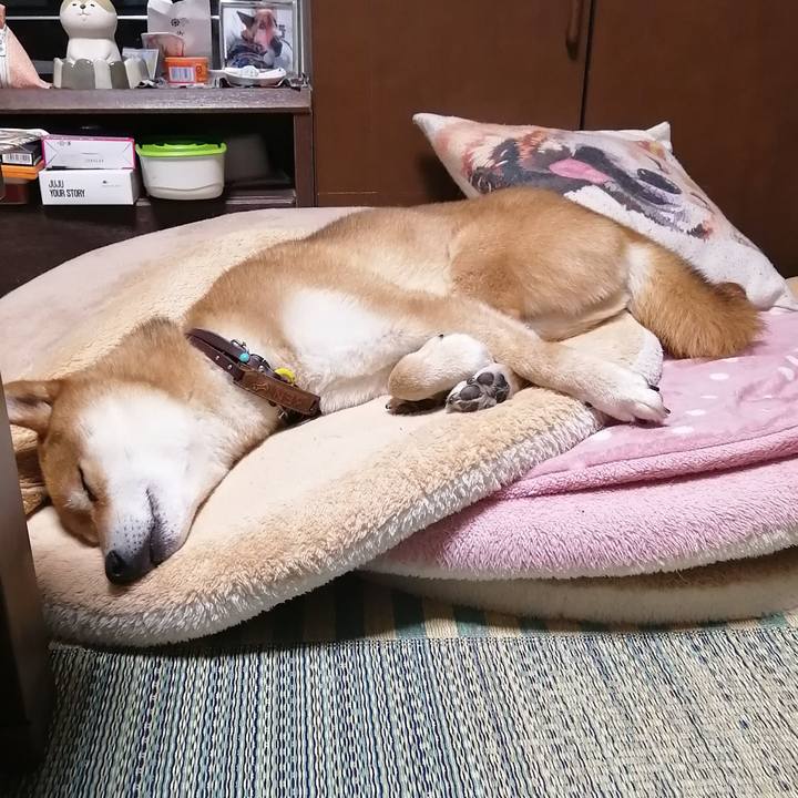 0cc8372b c596 4a2d afa1 7d4133346ba2 1590497887852