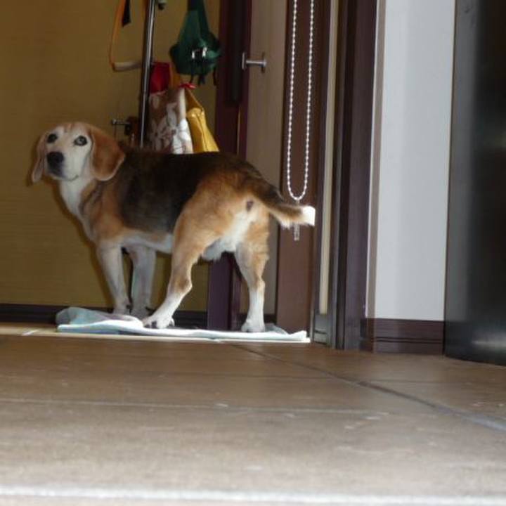 0cc84d2d 5f8b 4547 92c5 eb5a467f9cfd 1696729334871