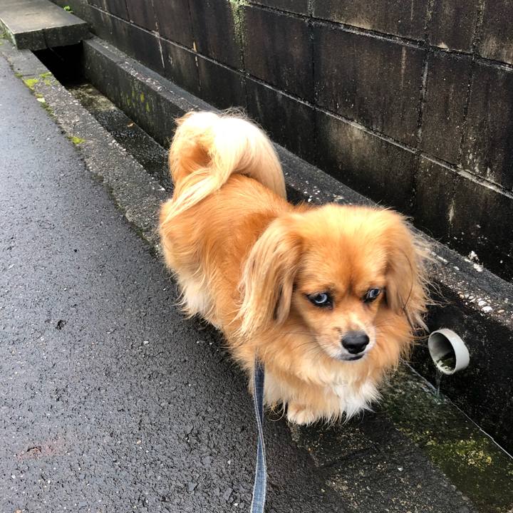 0cc94469 f51c 4c57 8c7c 5de5f2307006 1567635449973