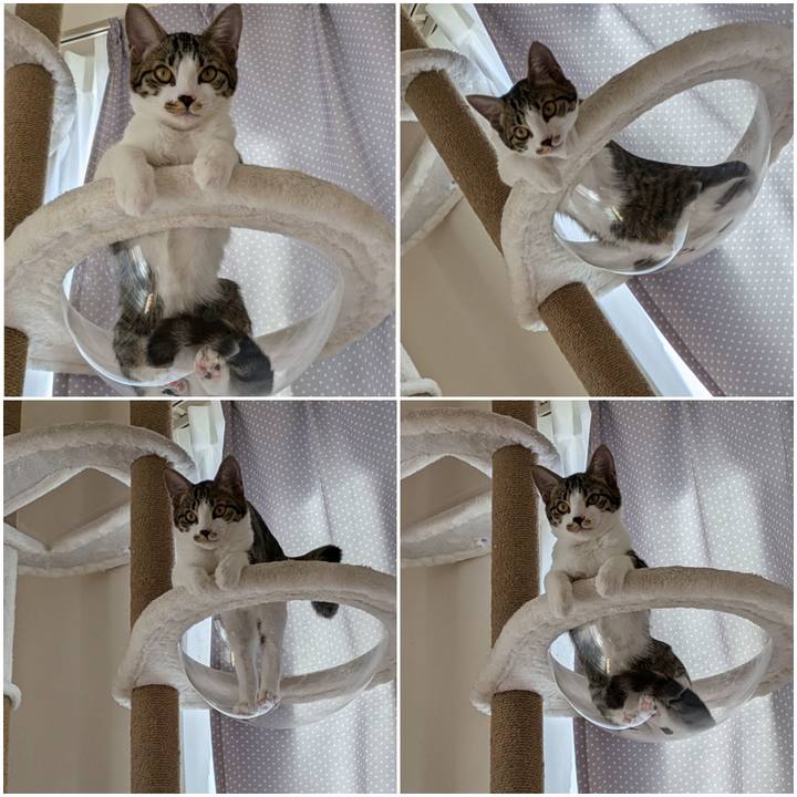 0cc95695 0d84 4fa1 a8f1 e9f34b881ba3 1728804740876