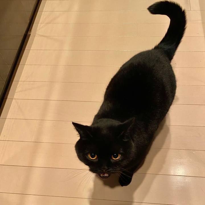 0cc96328 15cf 4c5f bf14 6c8c21933497 1676019716396