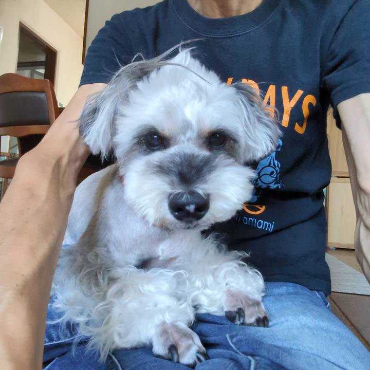 0cc96368 e56a 4727 9623 7867d6744bef 1755658847080