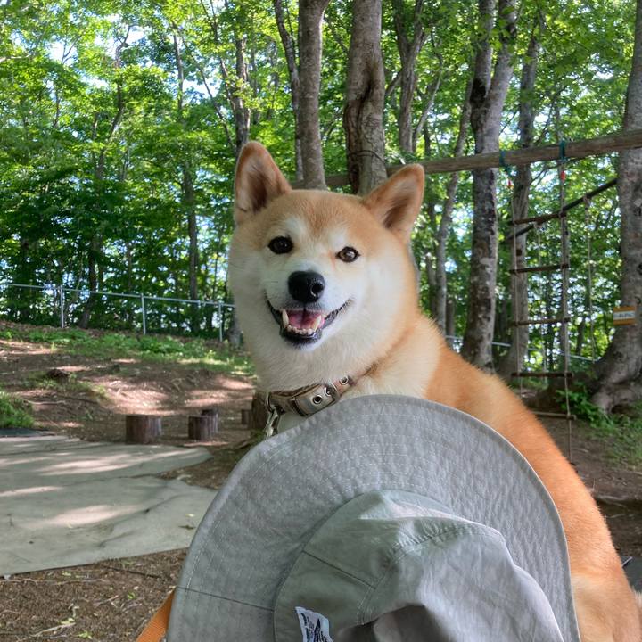 0cc9928c ae07 4d5e bdeb 6728cb0272a5 1716544700194