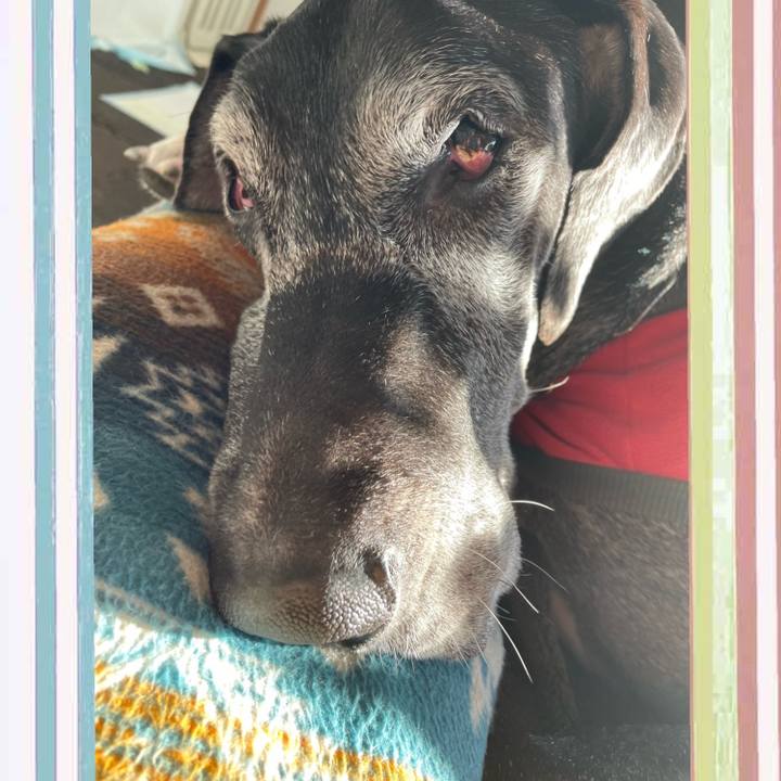 0cc9c85d 7c30 4ec2 b105 4567f2b2ec21 1639783477389