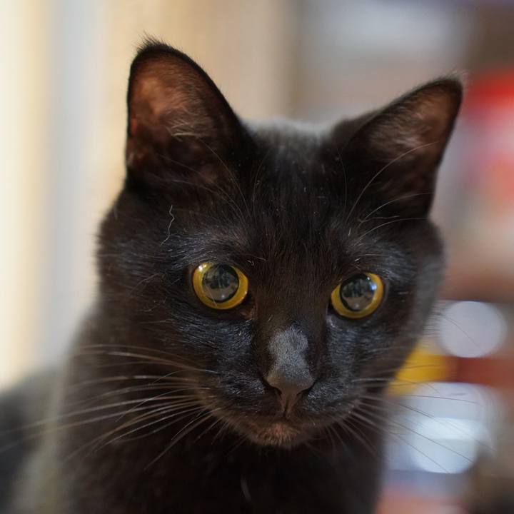 0cca367b bb5a 408d 88b7 3a7293847bb4 1730679838150