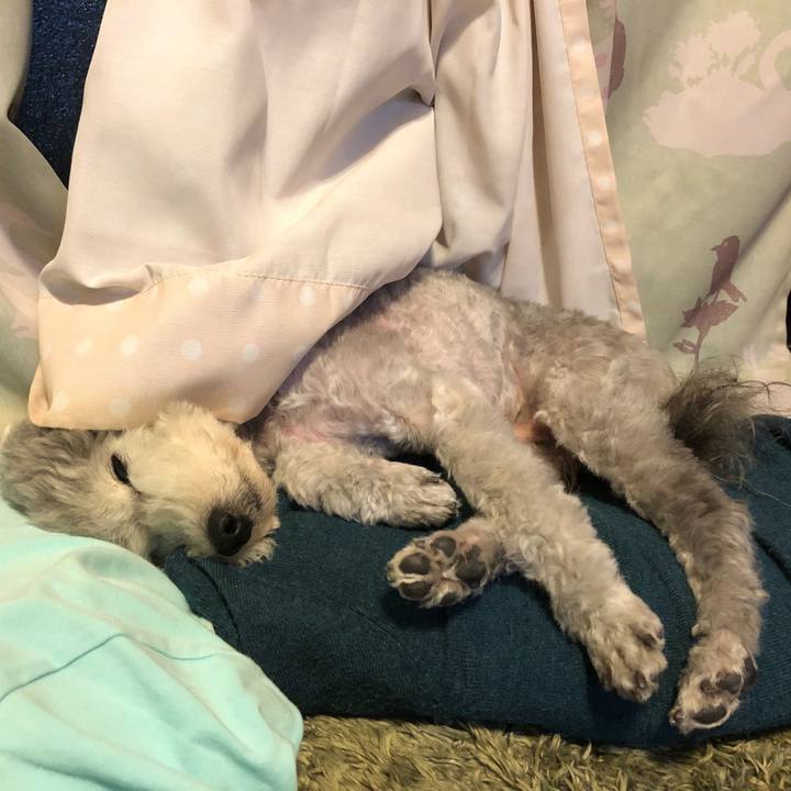 0cca47b8 6774 477f 9cea b27ddf5dd46d 1528949612315