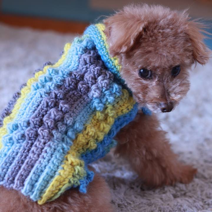 0cca7111 8d2e 4c19 bdbc 9d88696afa38 1612706817884