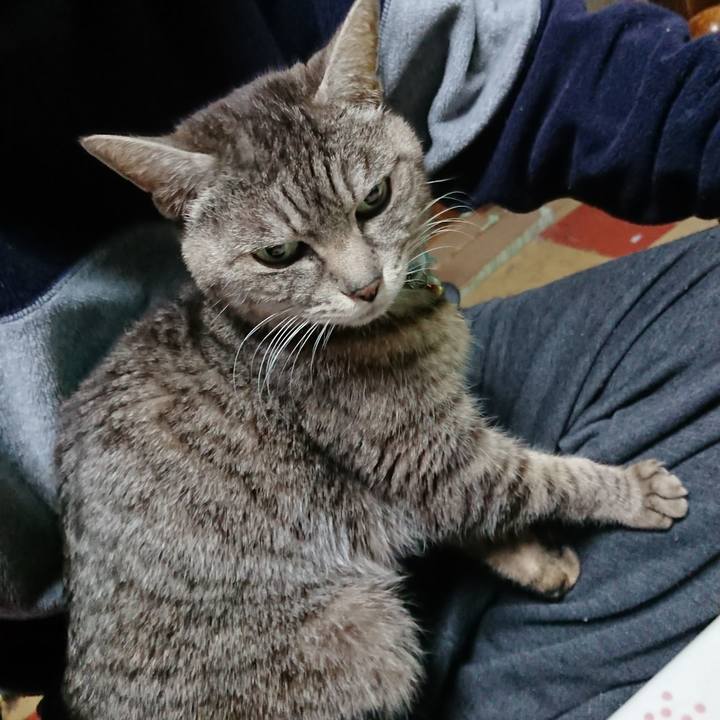 0ccad8e2 bb17 4787 bdd8 6b7c187c821d 1553720043759