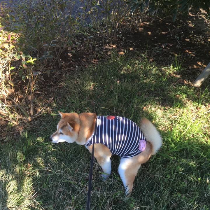 0ccaf0a5 8077 4a70 86d5 afd0cd3b2c5c 1543117274399