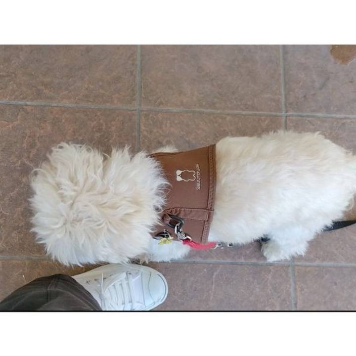 0ccb26ad b734 4804 9fc7 21f7c858fdb0 1714071350122