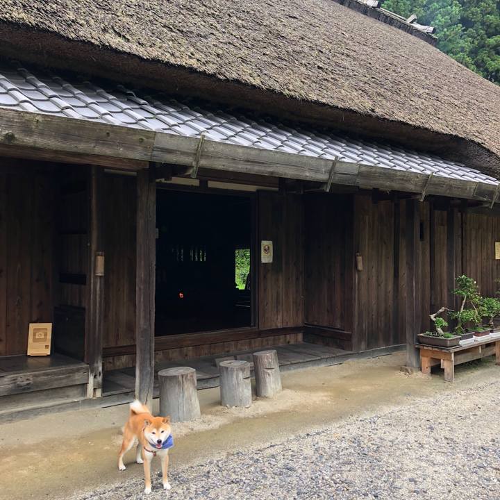 0ccb301f 6504 4b47 ab47 73d6fc121f58 1529722720771