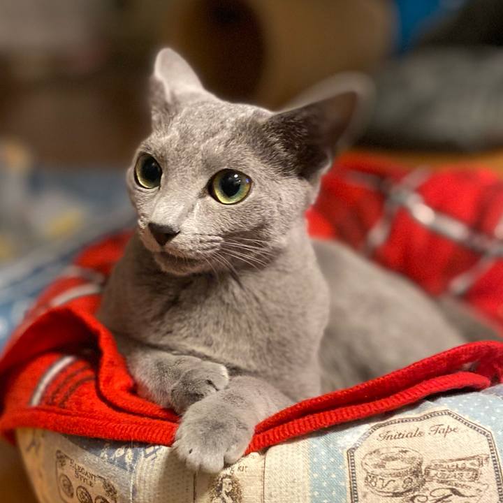 0ccb8283 3cd9 4fc4 a225 074c749b638e 1605880936992