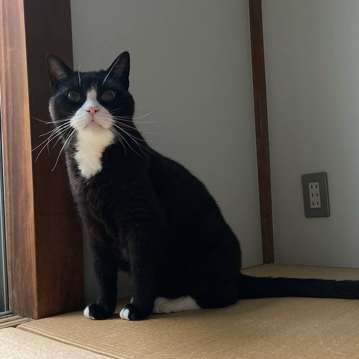 0ccb8f41 f100 41fa 8a4f 5e973c66bce4 1595337706635