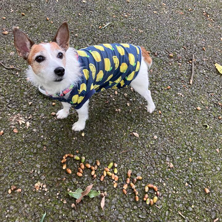 0ccb93ad 737e 4189 b357 9b7dd506d001 1696835026213