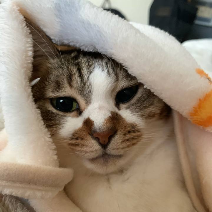 0ccbbe9e 6d71 41fa 8778 671d4af1d714 1673575591054