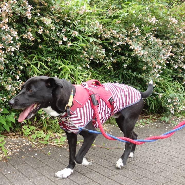 0ccbe7b6 7dad 4cb6 bb29 dc78869ff5f7 1593733927553