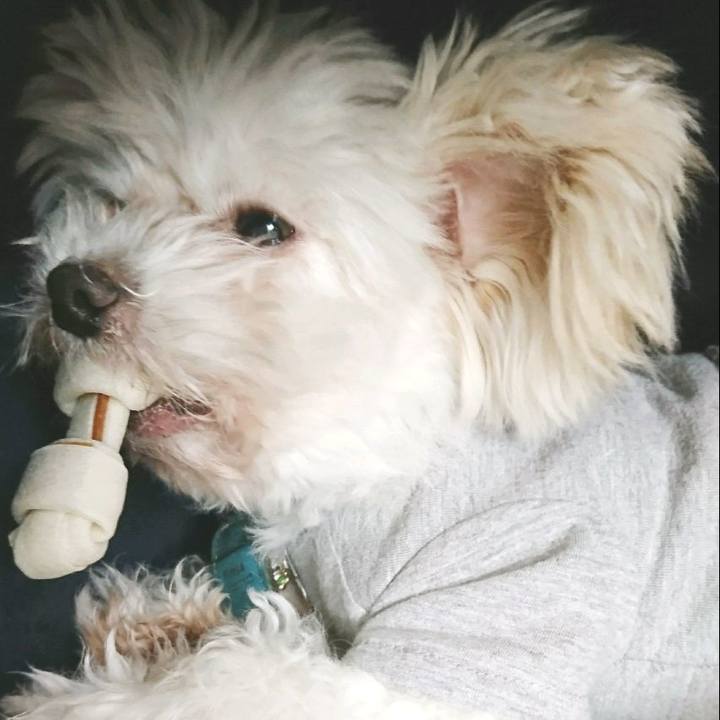 0ccc2709 0f17 4e25 a165 3193de6e2998 1517460939945