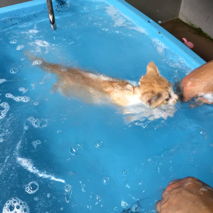 0ccc5521 6d7c 4a1e a2ac 08ed6b8d55d6 1574660728252