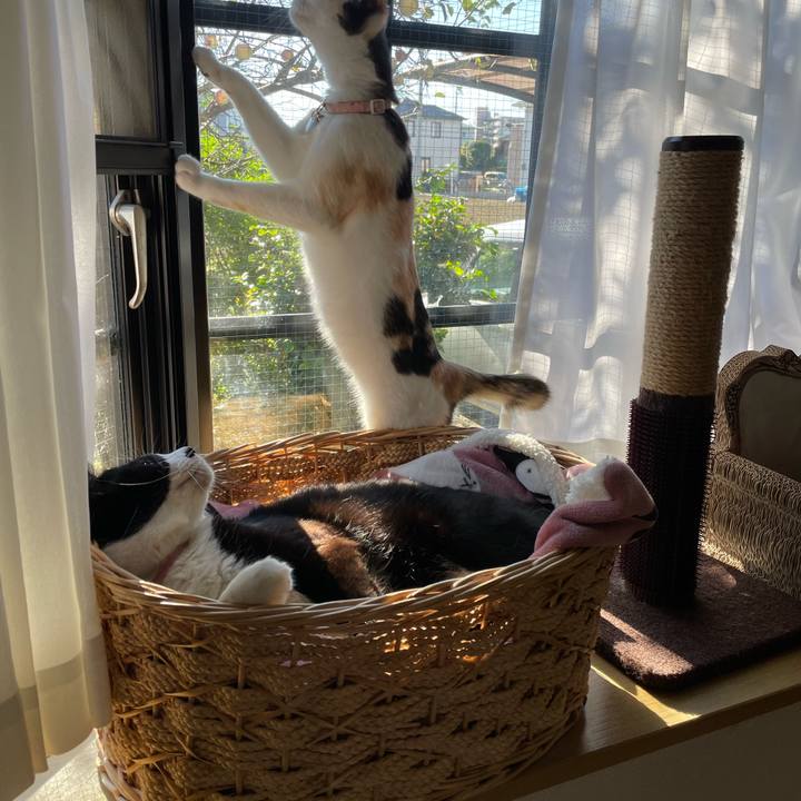 0ccc9010 ae01 4ff4 aeed ef86001d9147 1698626170835