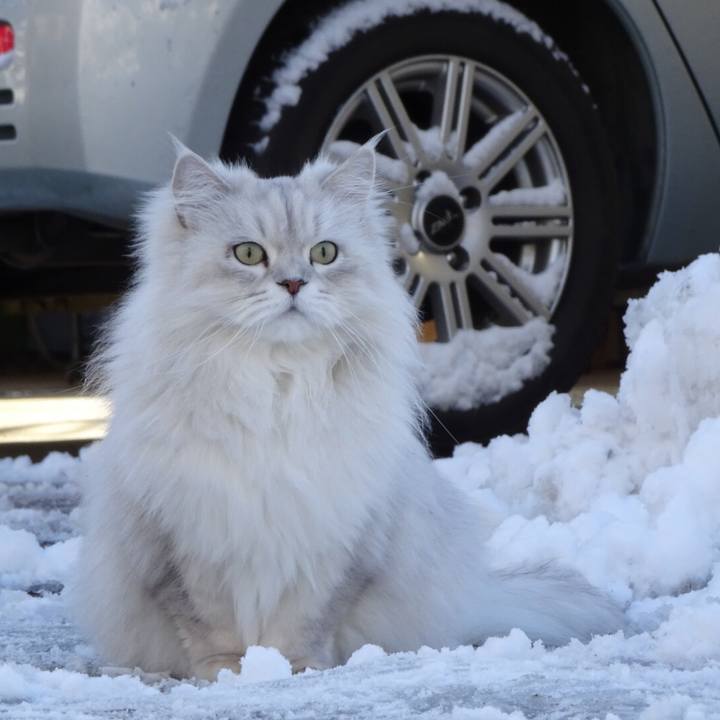 0cccec09 aa42 4bf6 88a1 44fc1c6ec41b 1516668147917