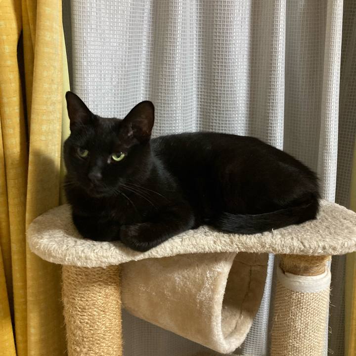 0ccd201b cf64 4d49 b0c5 b0c5d8030ca6 1757947954700