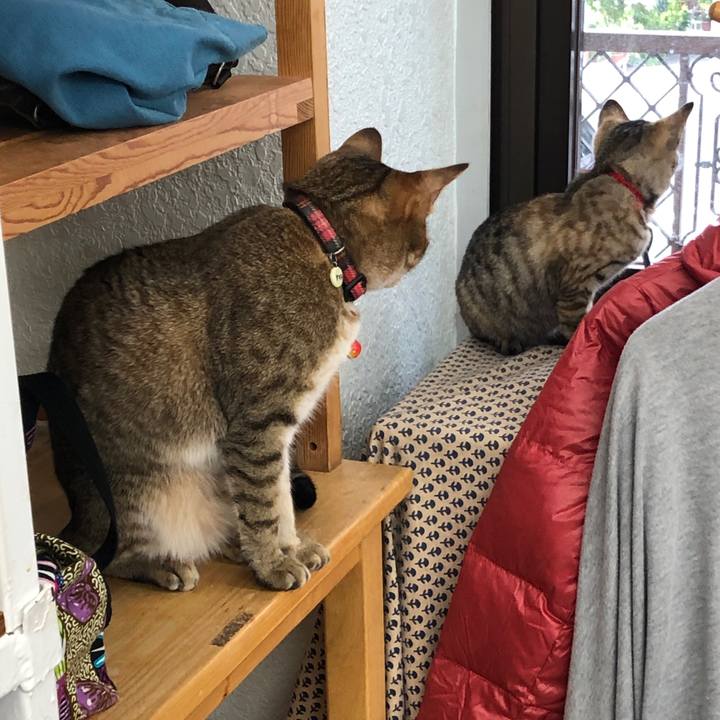 0ccd3399 c467 4e8d 9947 7372a5c3f21b 1661327422165