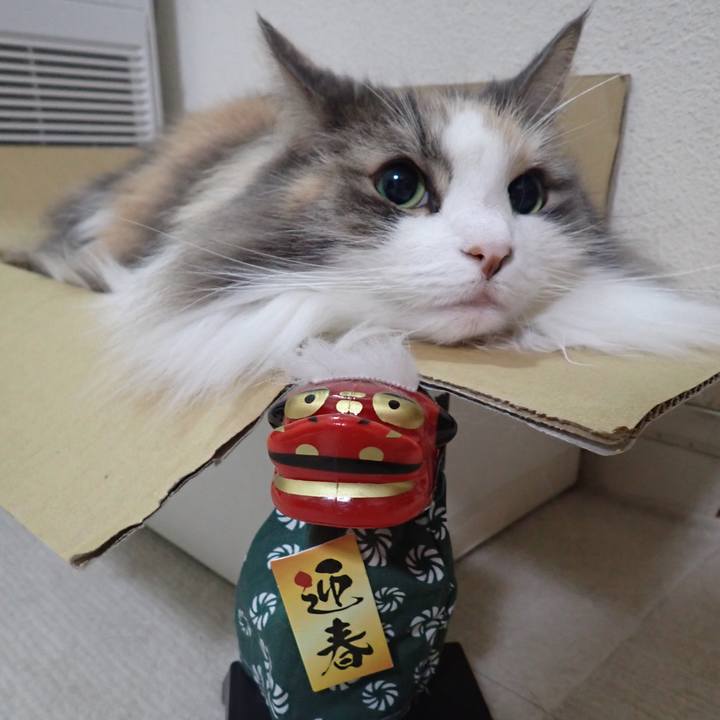 0ccd637c 72ad 41fa b5f3 bb6c5cd0b1bd 1768301144793