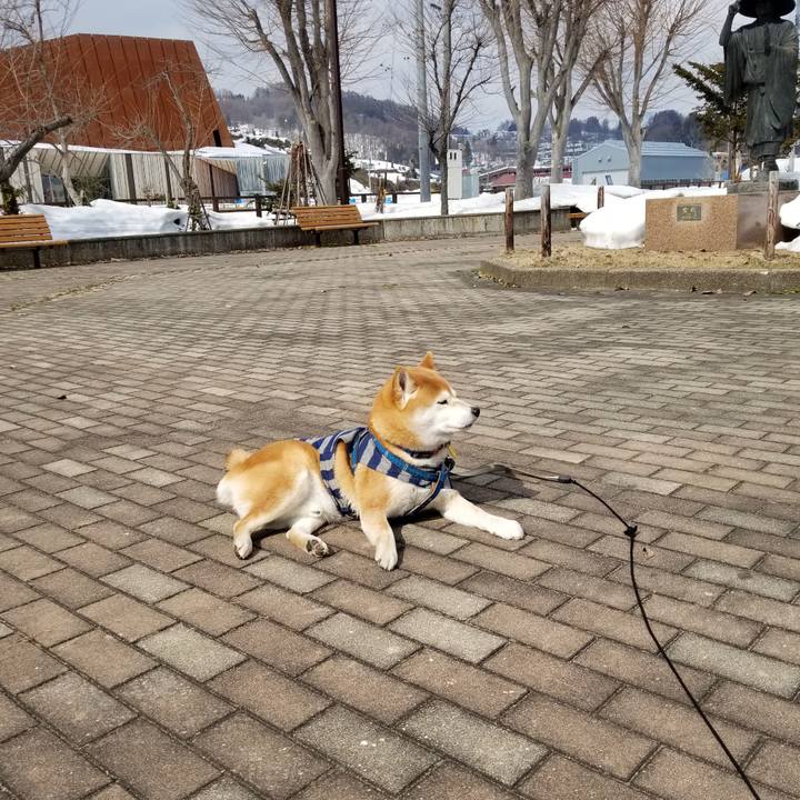 0ccd796d b2d6 4c1f 91d9 e6c42d7ae2e1 1551151536118