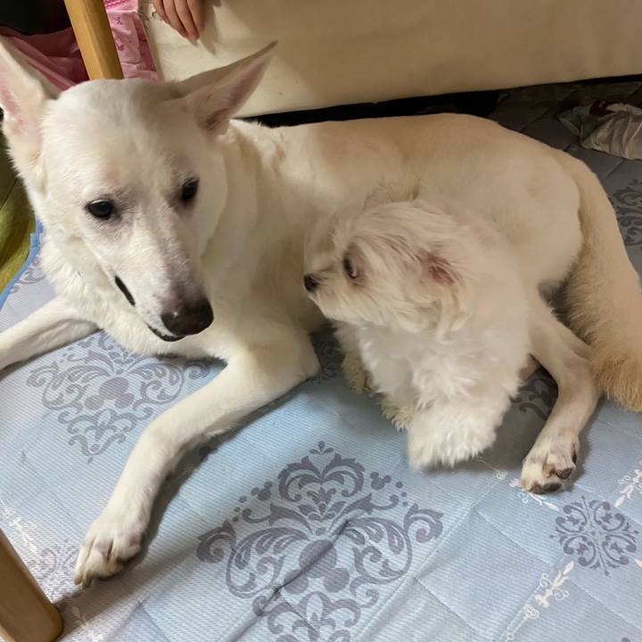 0ccdb27f 0806 49fc bedc 596dd4e5e765 1595588013934