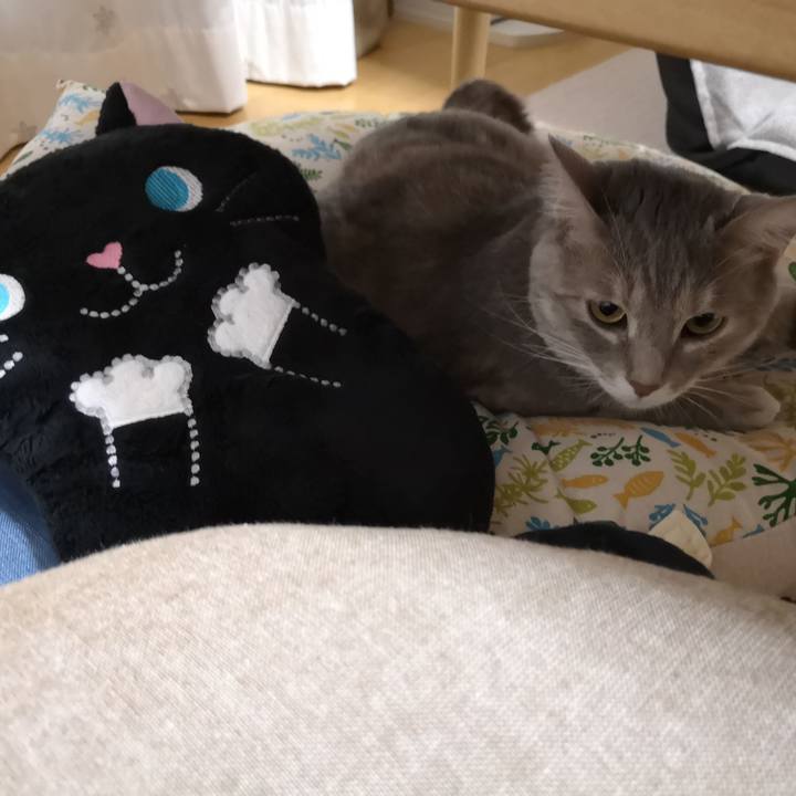 0cce512e 448d 48b3 a74a 3afaaf80f2c5 1560696998259