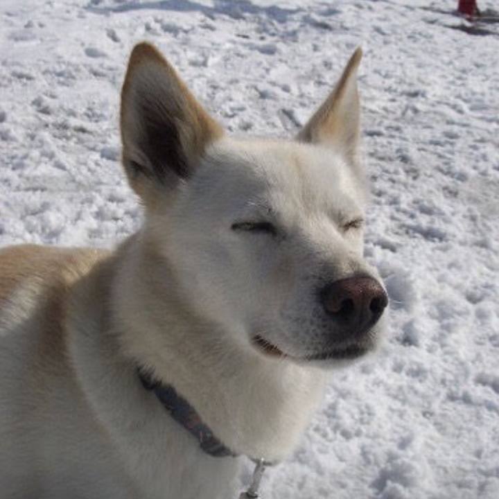 0cce7fe5 b167 42e4 8595 dbe17535eeb7 1595303043868