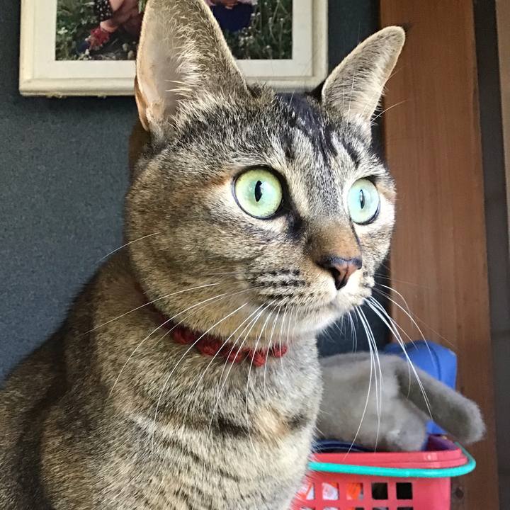 0cce87e8 53cf 4609 941f 95d577267fbb 1637646051955