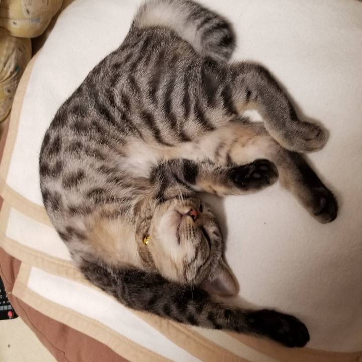 0cce9094 44ca 490f 90de 812bbdfae3d0 1677667754066