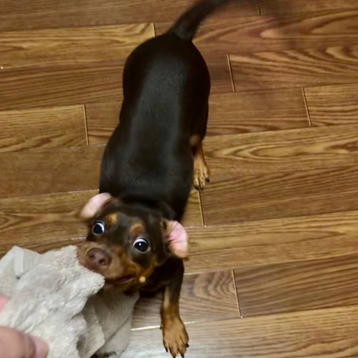 0cceb9a4 d9a6 435f ac7a 0418ae3a5cb3 1512132494958