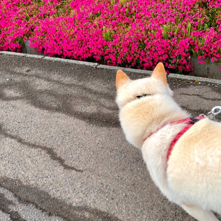 0ccebb18 888c 49a8 9bc4 b63e5bb0fab4 1590180282184